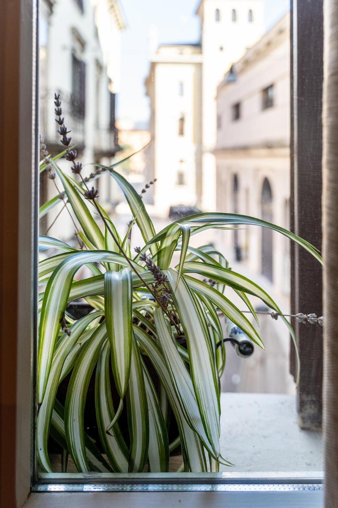 Dependance Cara Giulietta Apartamento Verona Exterior foto